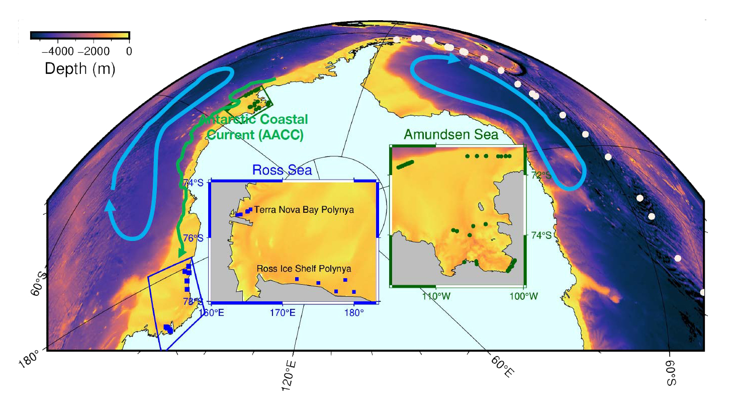 Polynyas in the Ross Sea