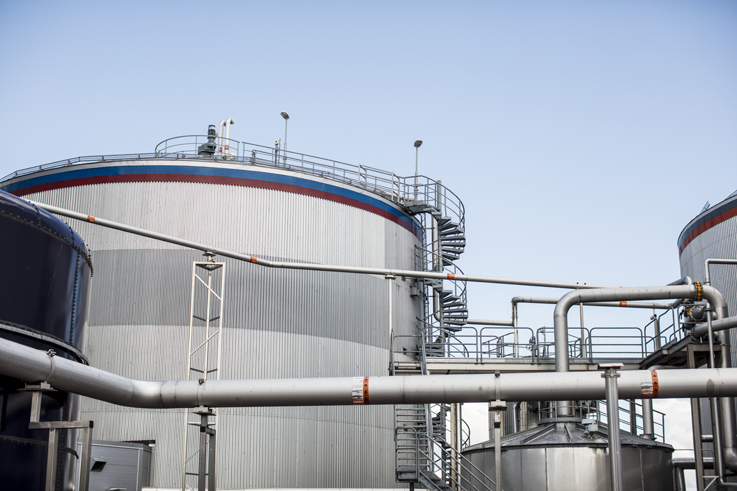 Biogas production facility