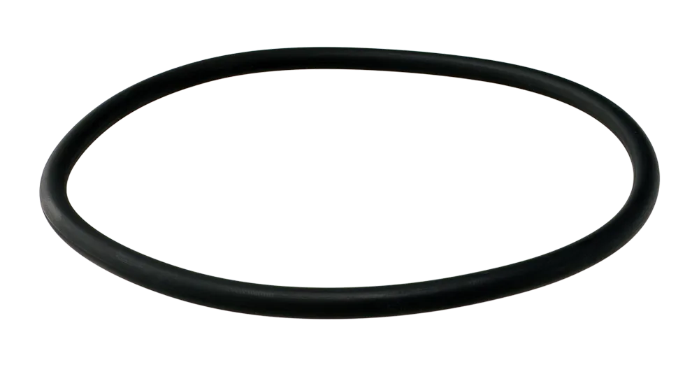 オルゴンリング　施術用 OリングCR/FPM | INFICON