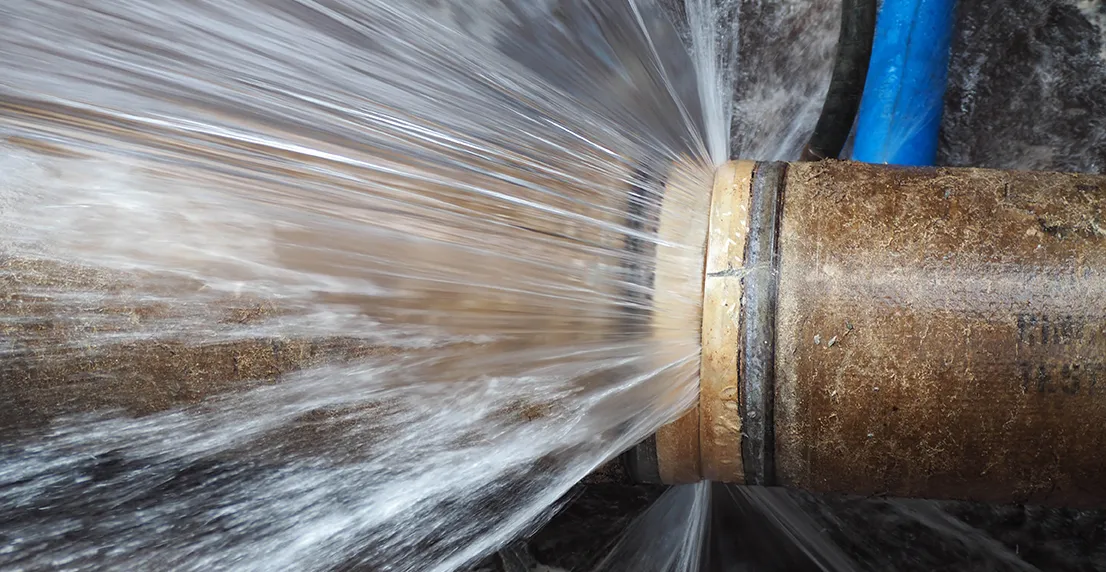 shutterstock_1821252203 smaller.jpg