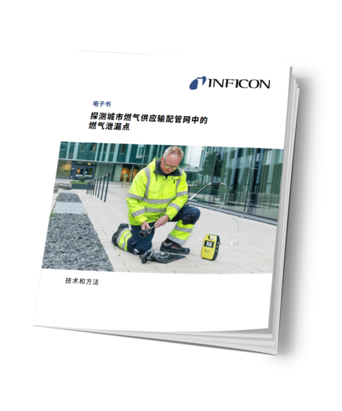 ebook_leak-testing-leak-finding-gas-leaks-in-urban-gas-distribution-networks_CN