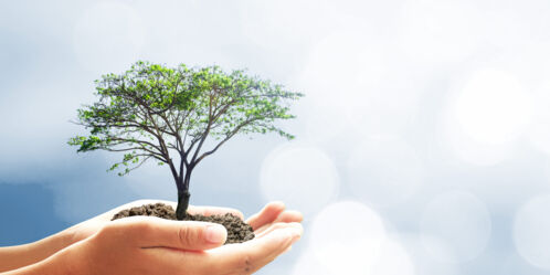 Sustainability_Greenhouse_Gas_Emissions Sustainability_Greenhouse_Gas_Emissions