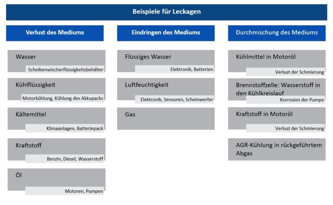 Leck-Kategorien Leakage categories_DE