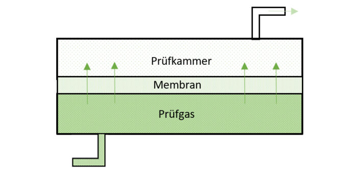 Das Gas dringt durch die Membran und sammelt sich in der Prüfkammer. Prüfkammer_Membran_Prüfgas