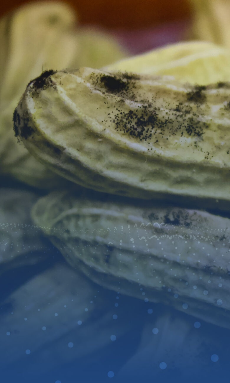 Proper Leak Detection Calibration Processes for Highly Accurate Quality Control - sideimage (1) Proper Leak Detection Calibration Processes for Highly Accurate Quality Control - sideimage (1)